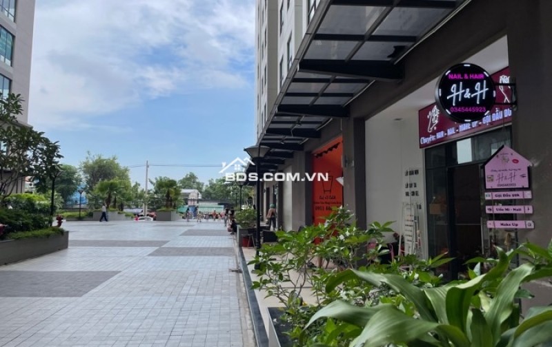 CHỦ CẦN RA GẤP TRONG TUẦN CHỈ 6.X TỶ SHOPHOUSE - GREEN RIVER -  2225 PHẠM THẾ HIỂN, P6,Q8